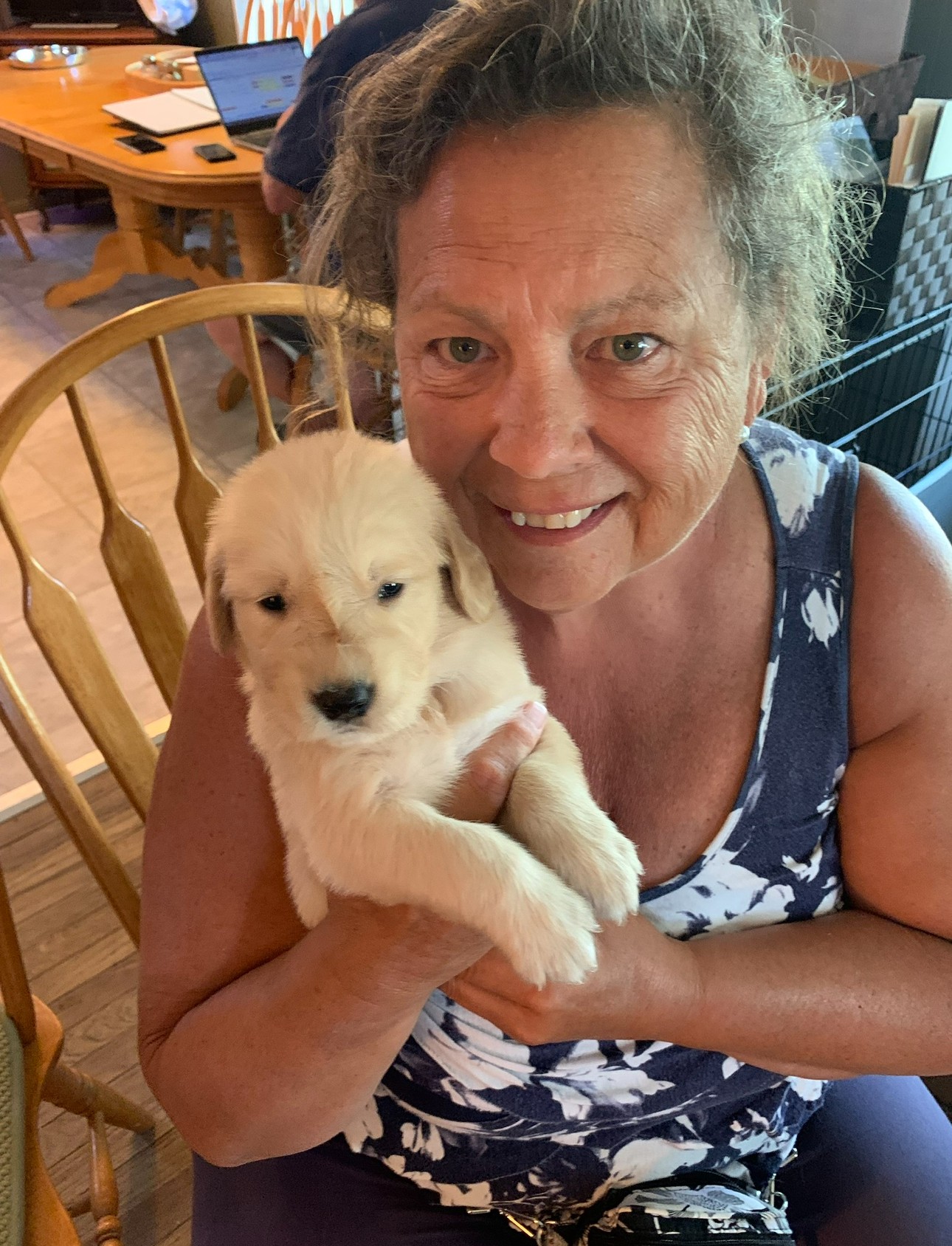 Karin Aimee Siebenrock Obituary on Michigan Memorial Funeral Home